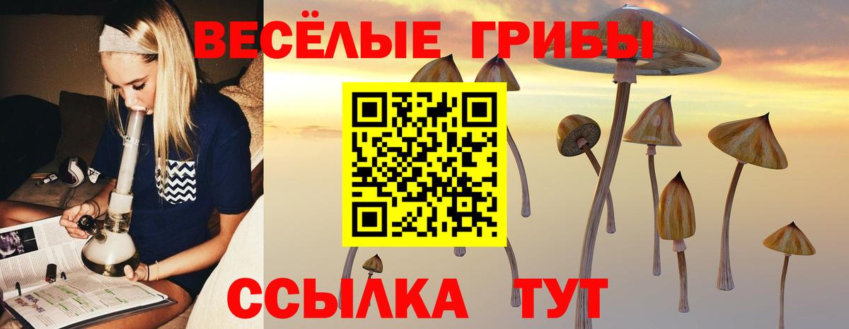 Галлюциногенные грибы мухоморы Люберцы